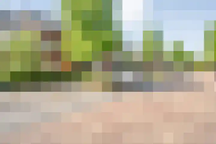 Plattenborgstraat 59 Zwolle thumbnail 33