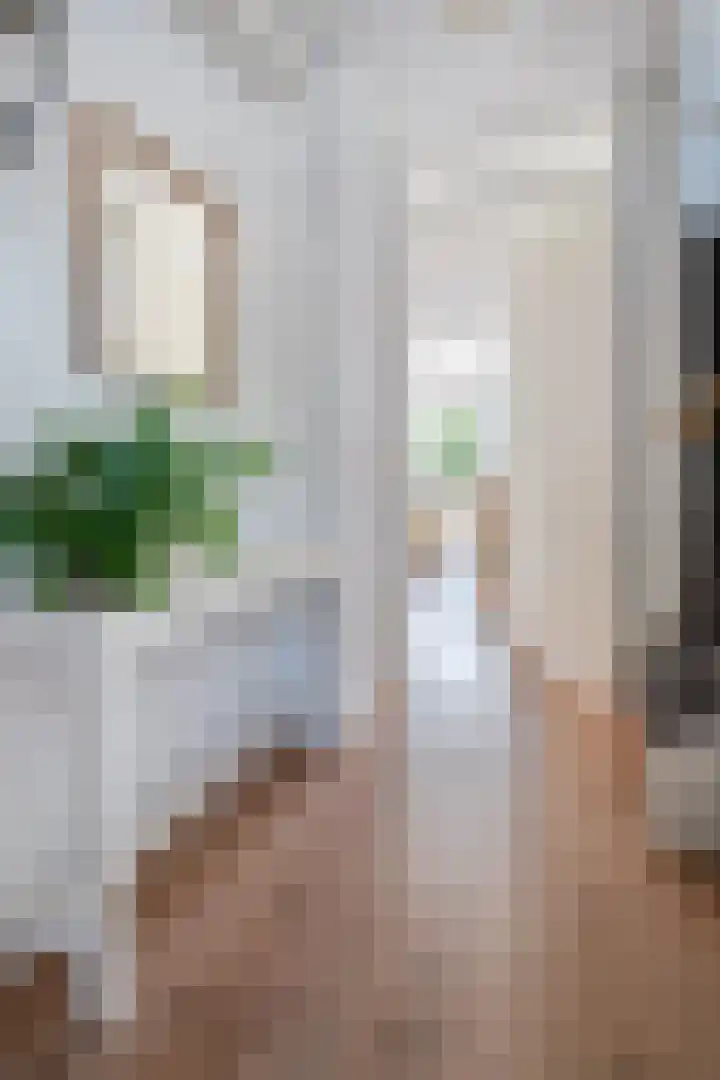 Plattenborgstraat 59 Zwolle thumbnail 5