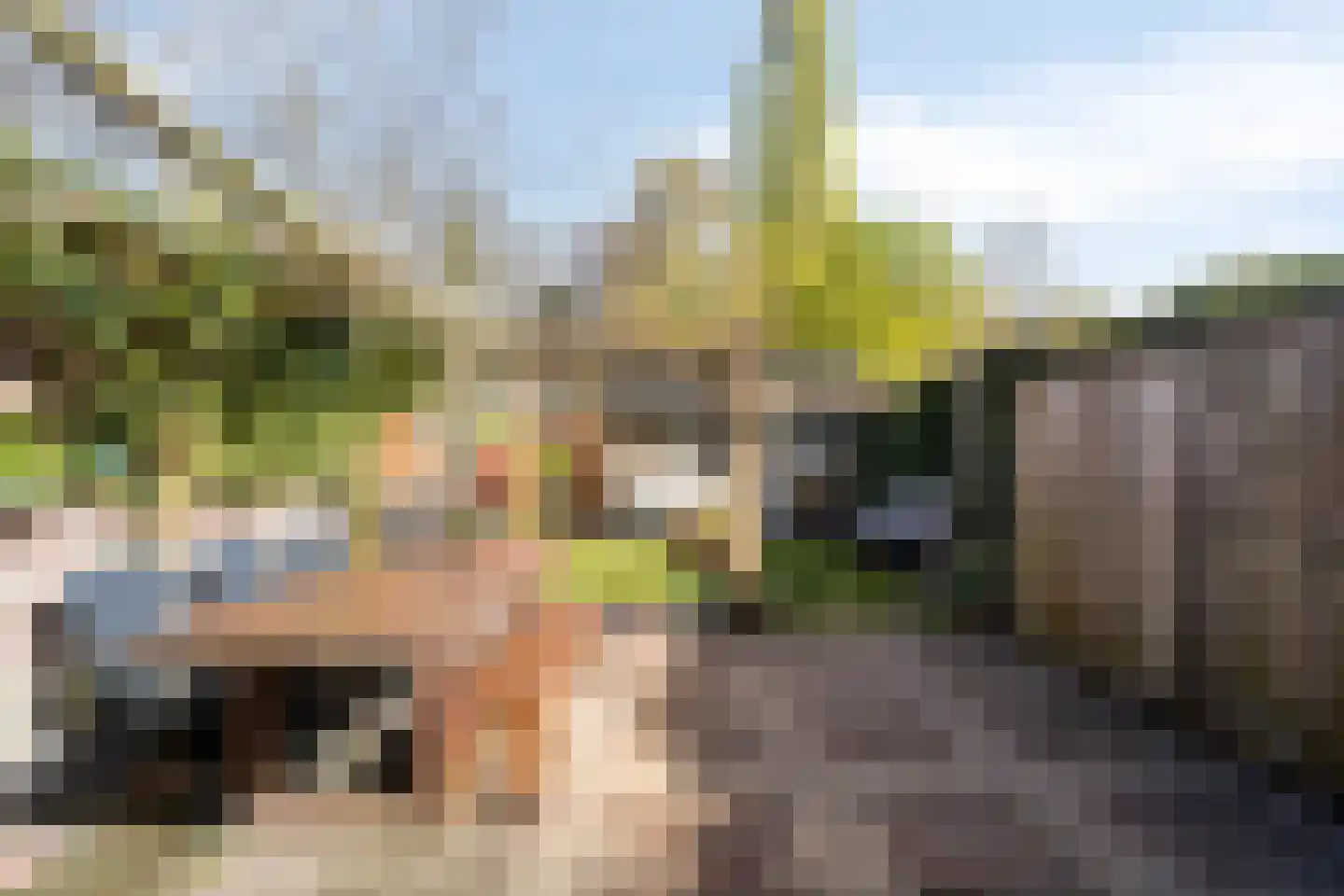 Plattenburgerweg 47 Arnhem thumbnail 22