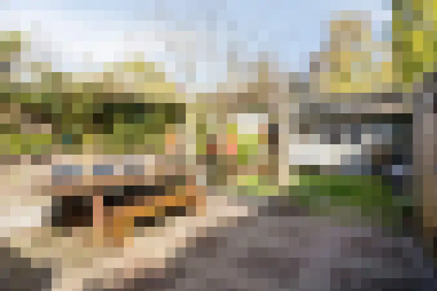 Plattenburgerweg 47 Arnhem thumbnail 23