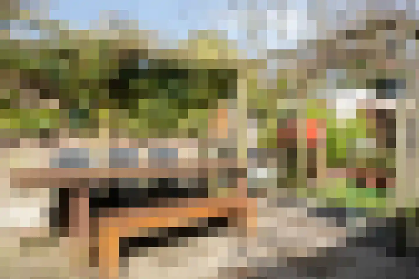Plattenburgerweg 47 Arnhem thumbnail 24