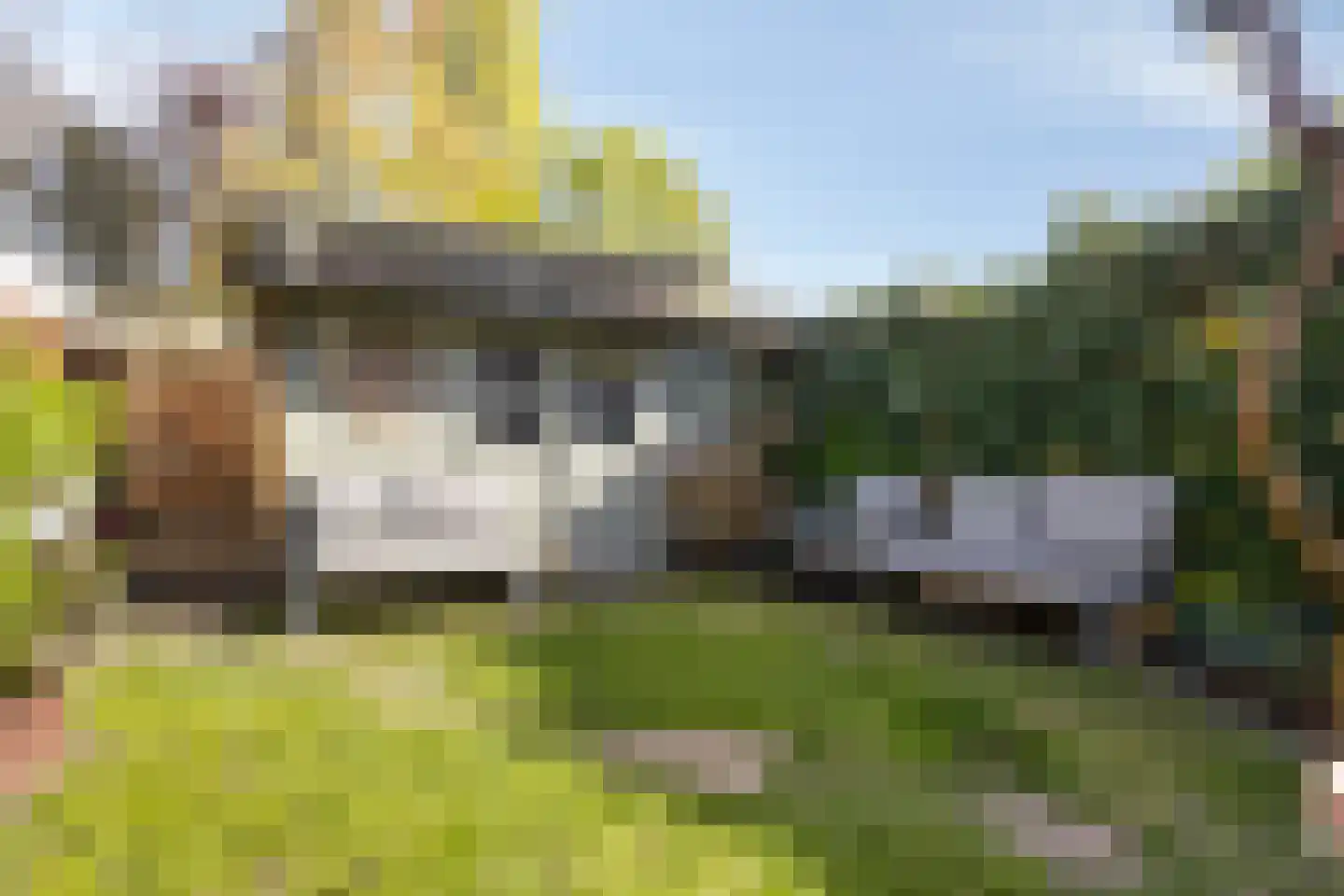 Plattenburgerweg 47 Arnhem thumbnail 25