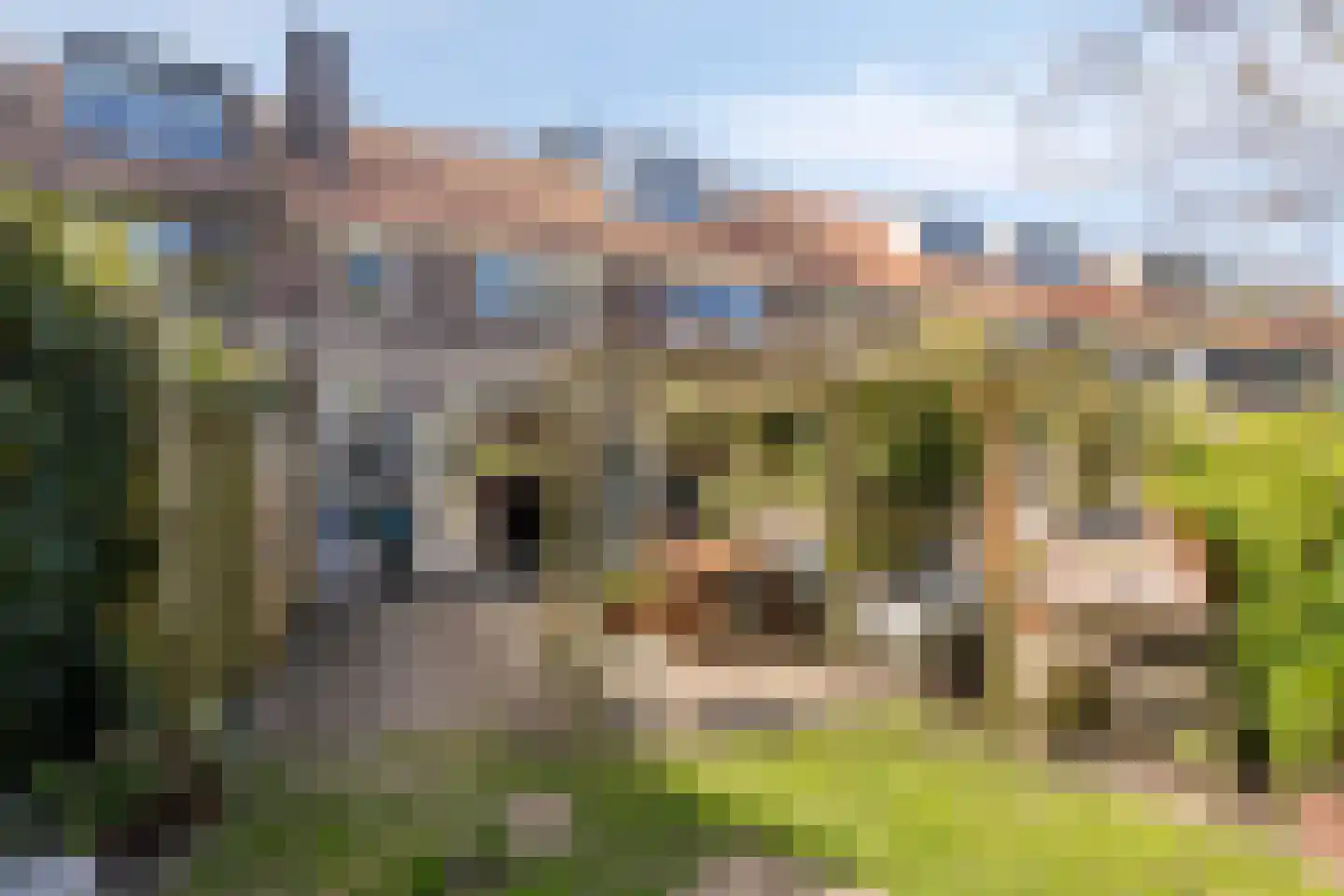 Plattenburgerweg 47 Arnhem thumbnail 28