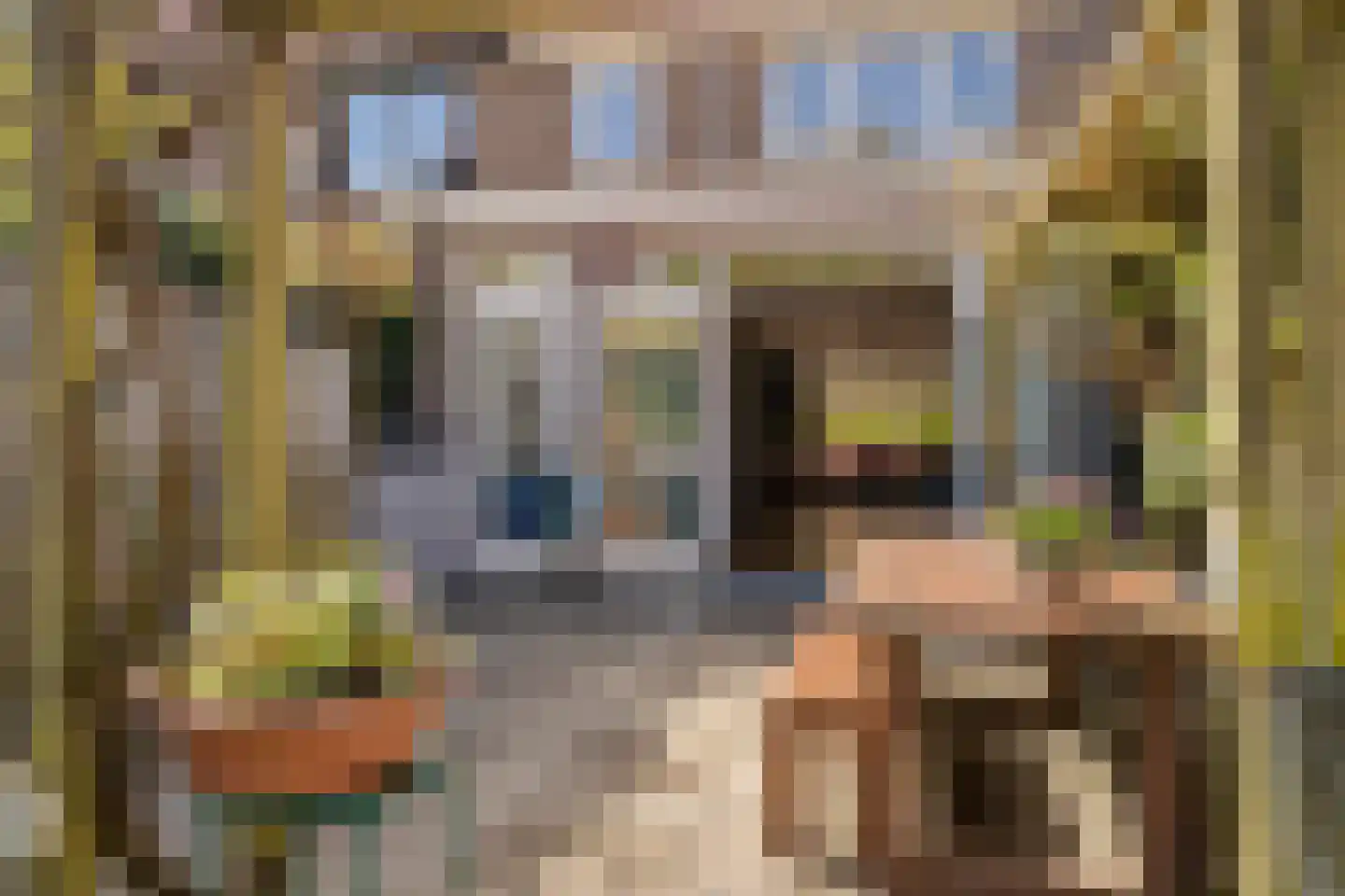 Plattenburgerweg 47 Arnhem thumbnail 29