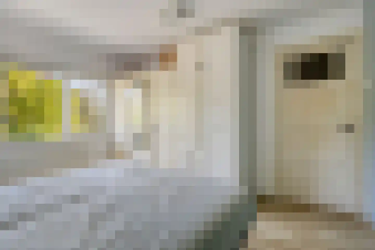 Plattenburgerweg 47 Arnhem thumbnail 34