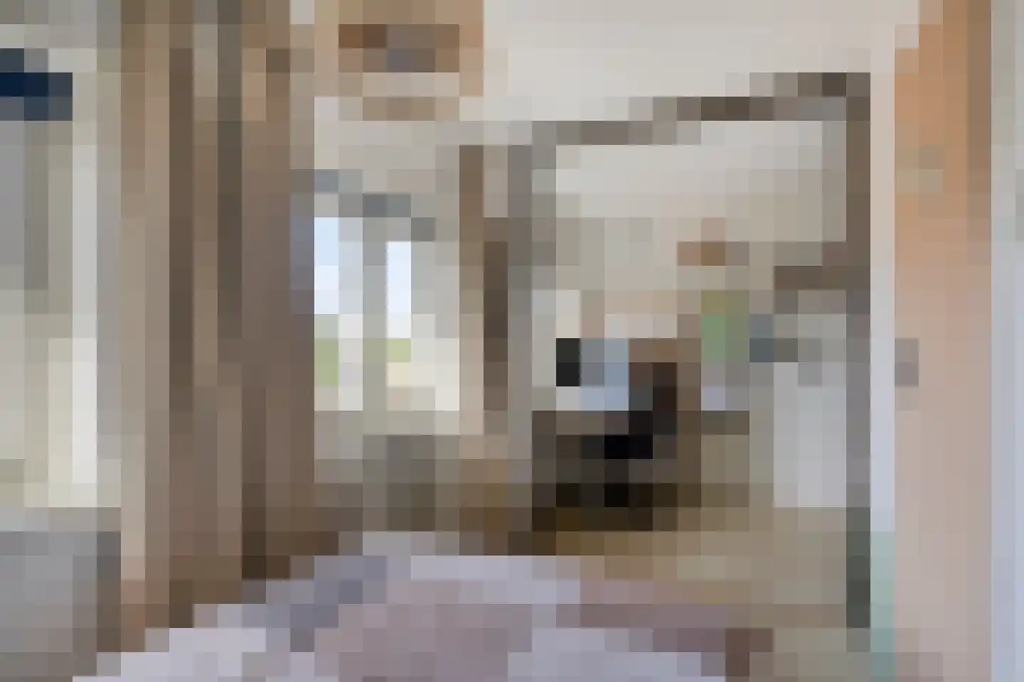 Plattenburgerweg 47 Arnhem thumbnail 39