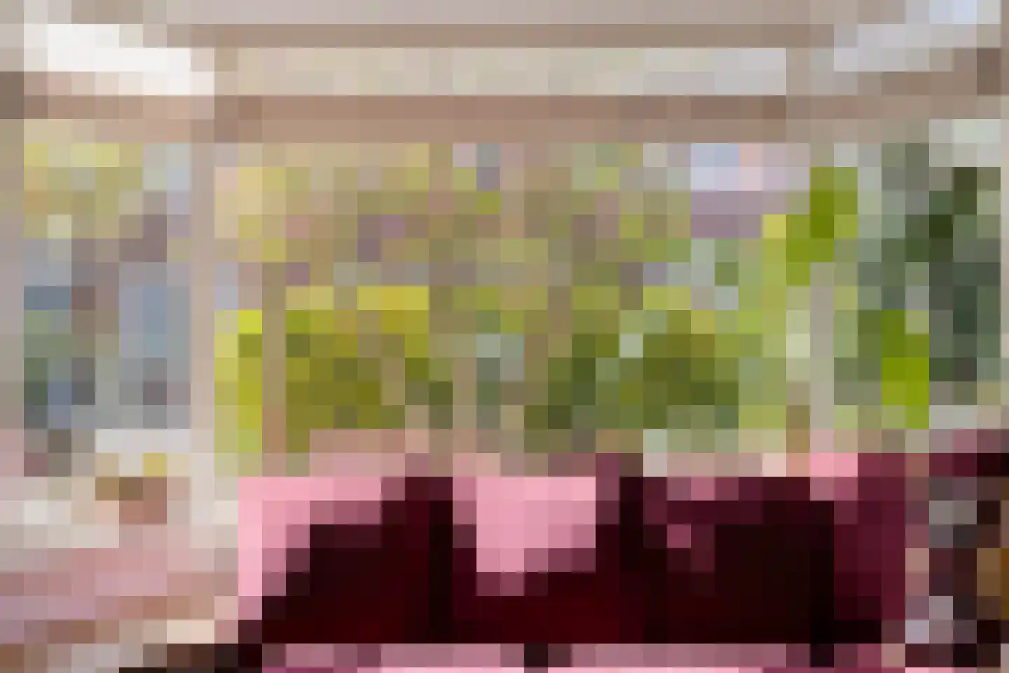 Plattenburgerweg 47 Arnhem thumbnail 5