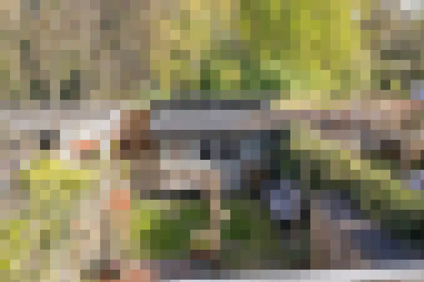 Plattenburgerweg 47 Arnhem thumbnail 62