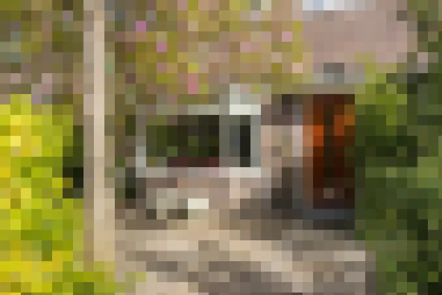 Plattenburgerweg 47 Arnhem thumbnail 64