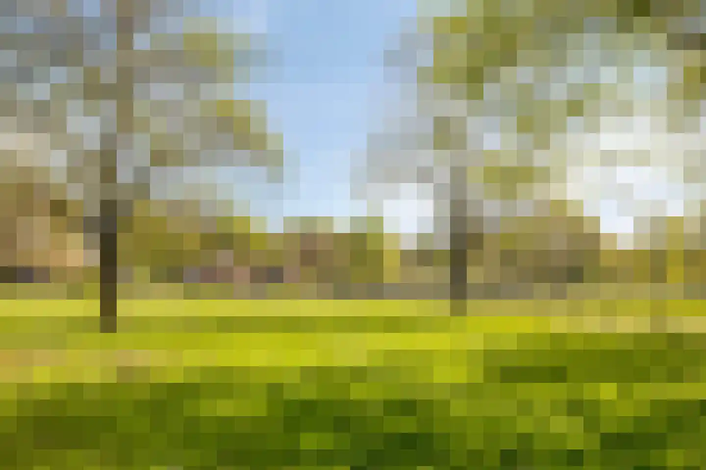 Plattenburgerweg 47 Arnhem thumbnail 65