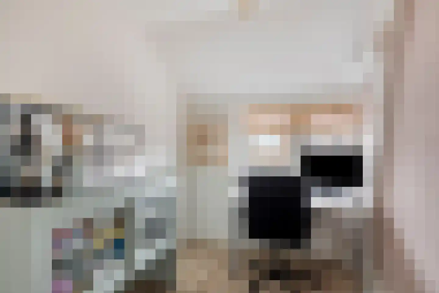 Plattenburgerweg 60 Arnhem thumbnail 19
