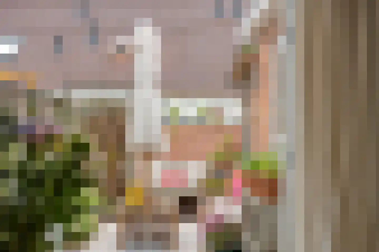 Plattenburgerweg 60 Arnhem thumbnail 20
