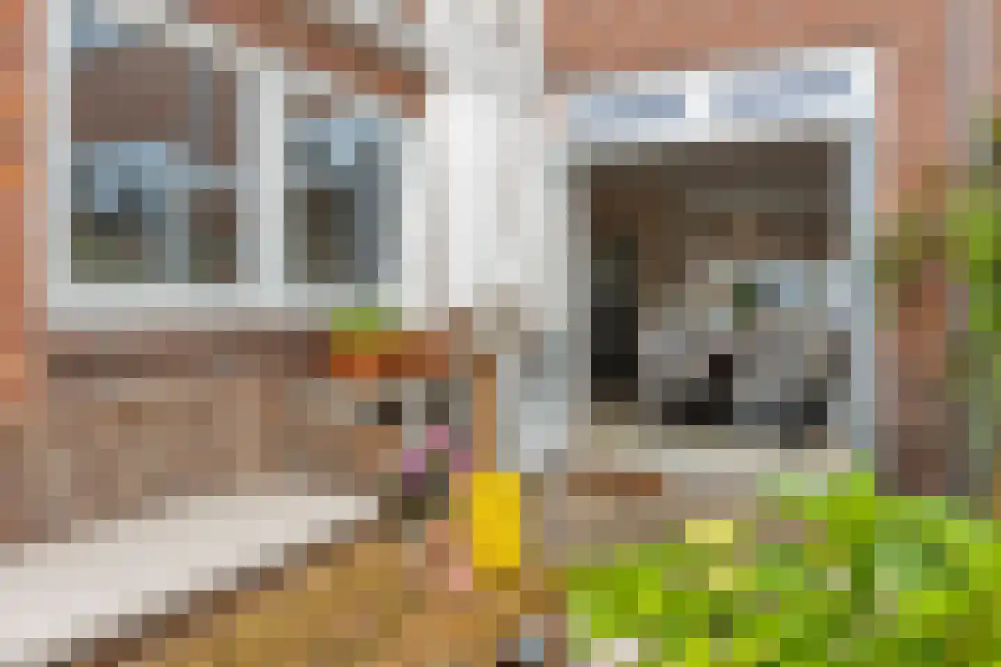 Plattenburgerweg 60 Arnhem thumbnail 21
