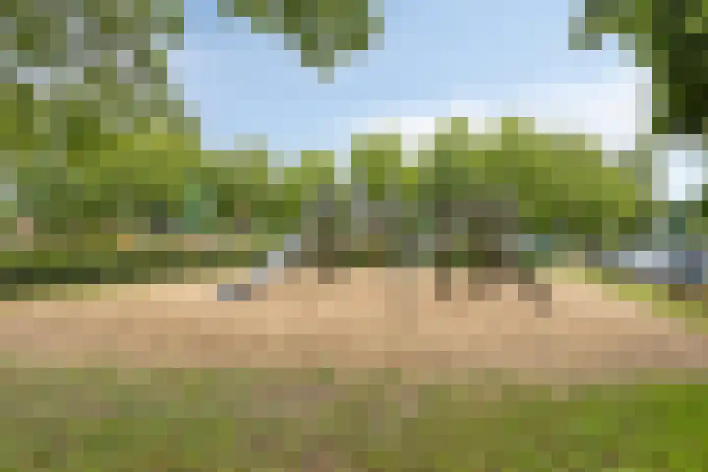 Plattenburgerweg 60 Arnhem thumbnail 24