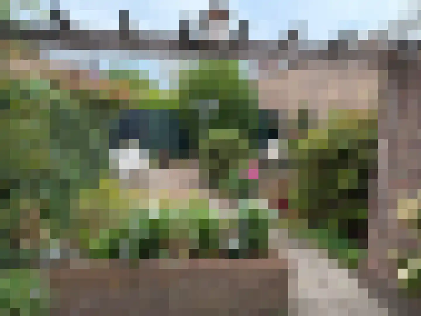 Plattenburgerweg 81 Arnhem thumbnail 29