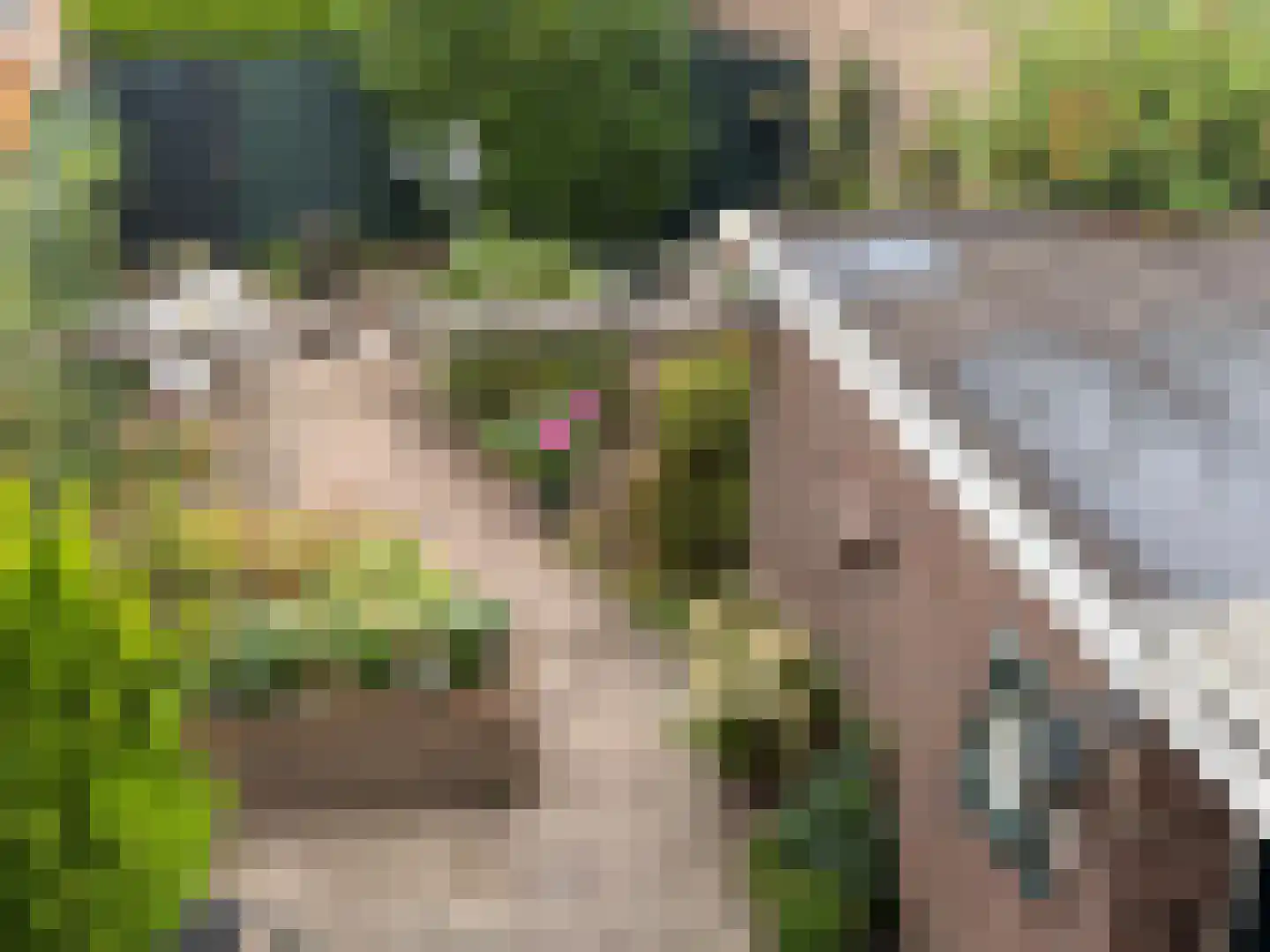 Plattenburgerweg 81 Arnhem thumbnail 30