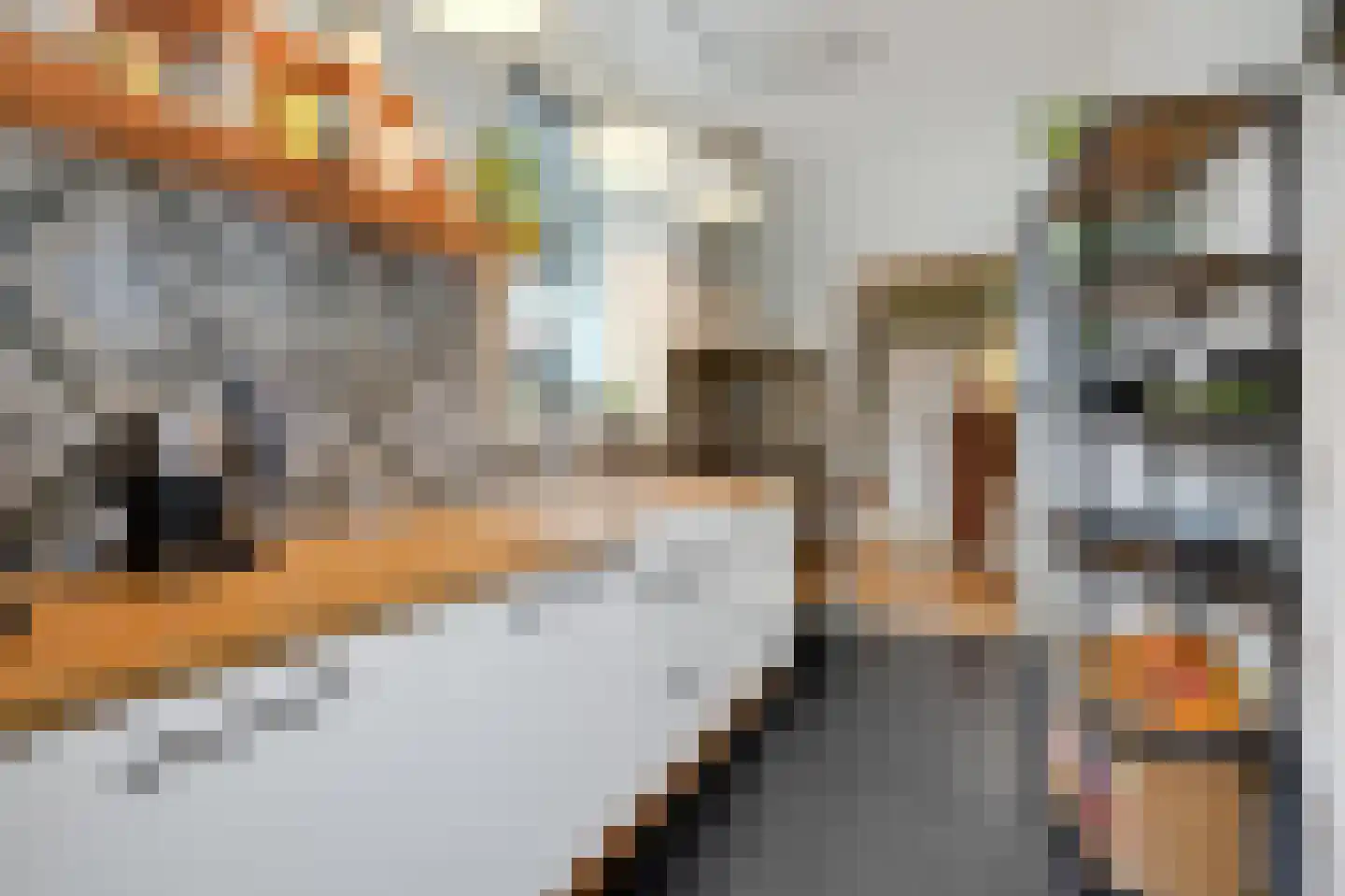 Plattenburgerweg 95 Arnhem thumbnail 17