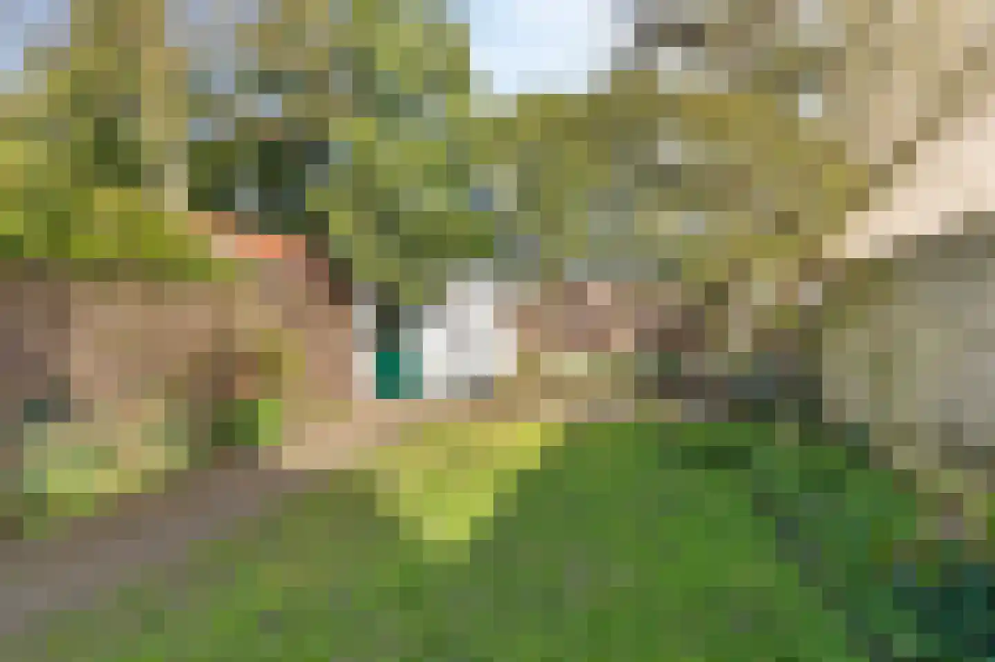 Plattenburgerweg 95 Arnhem thumbnail 37