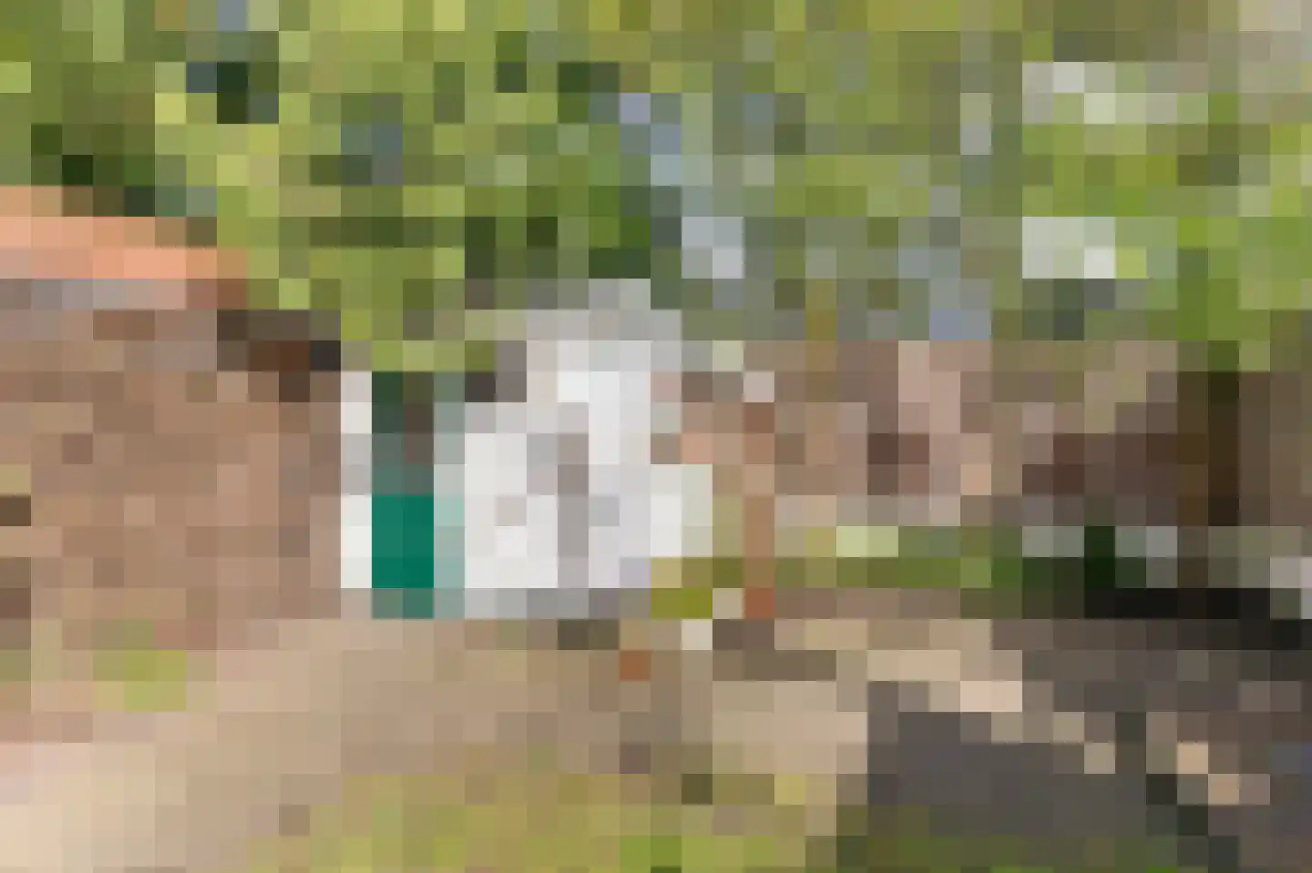 Plattenburgerweg 95 Arnhem thumbnail 38