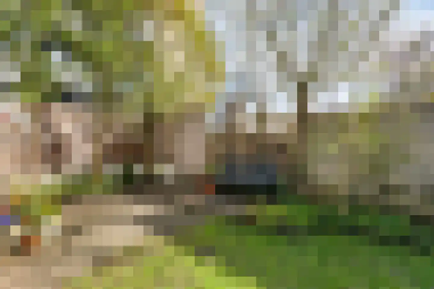 Plattenburgerweg 95 Arnhem thumbnail 39