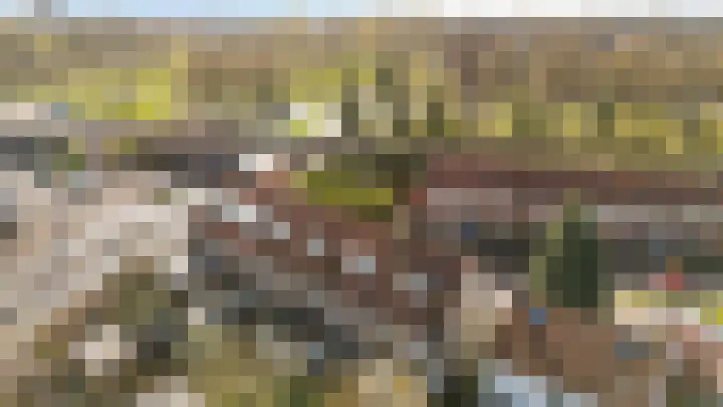 Plattenburgerweg 95 Arnhem thumbnail 44