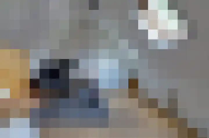 Plattenkamp 20 Beilen thumbnail 18
