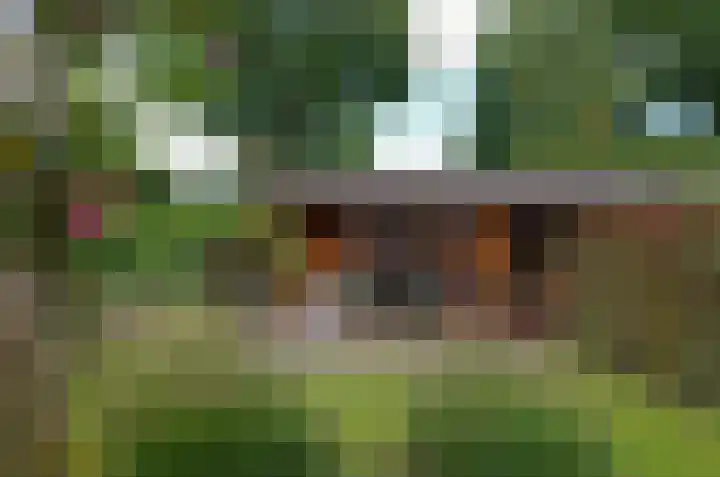 Plattenkamp 20 Beilen thumbnail 35