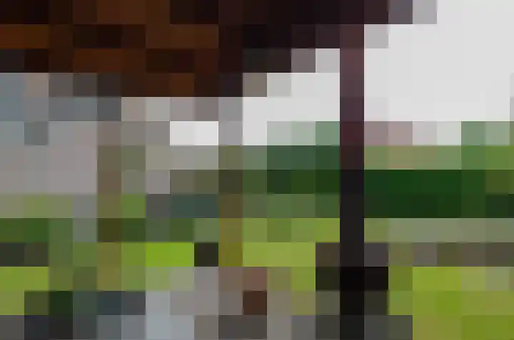Plattenkamp 20 Beilen thumbnail 39