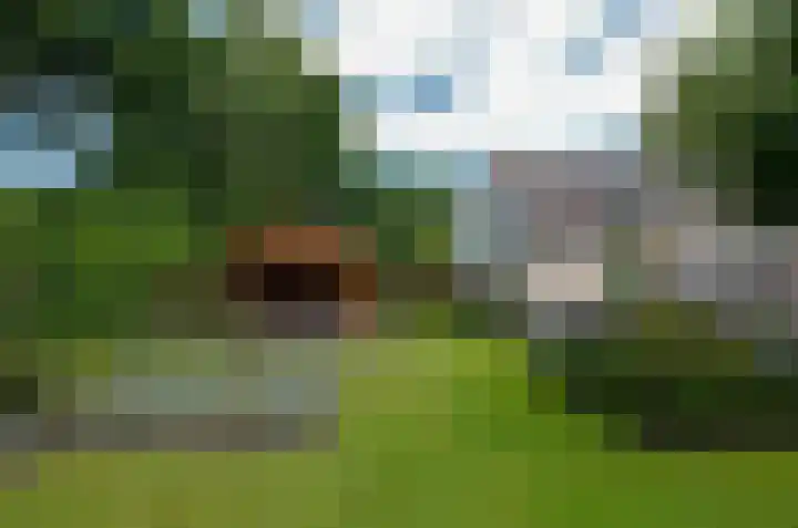 Plattenkamp 20 Beilen thumbnail 40