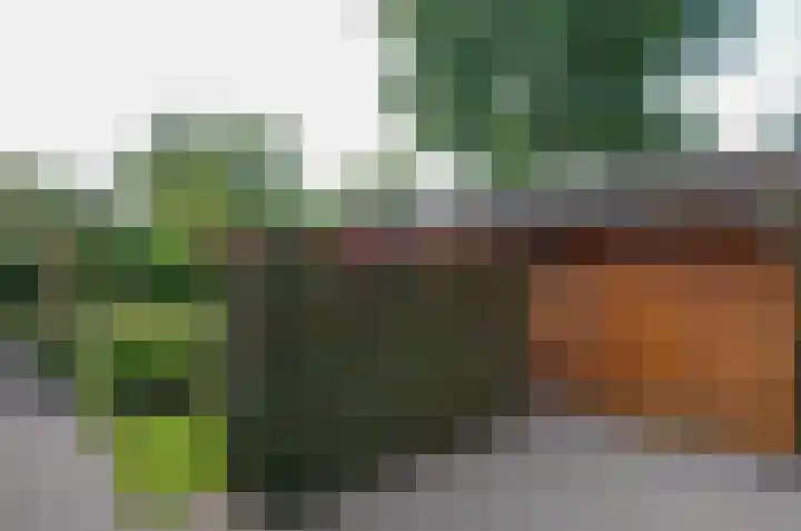 Plattenkamp 20 Beilen thumbnail 41