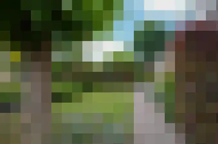 Plattenkamp 20 Beilen thumbnail 45