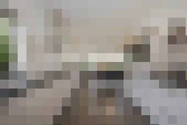 Plattenkamp 20 Beilen thumbnail 52