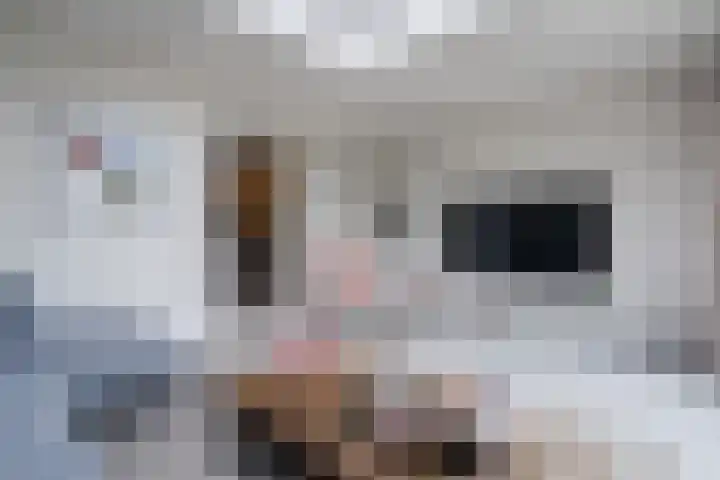 Plattenkamp 39 Beilen thumbnail 17