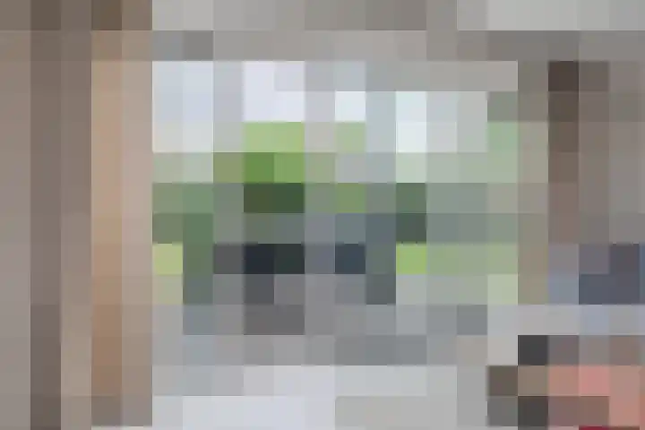 Plattenkamp 39 Beilen thumbnail 21