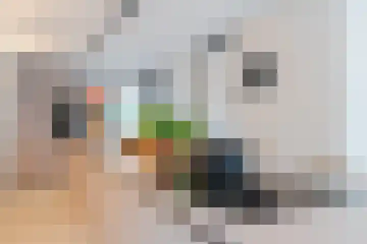 Plattenkamp 39 Beilen thumbnail 30