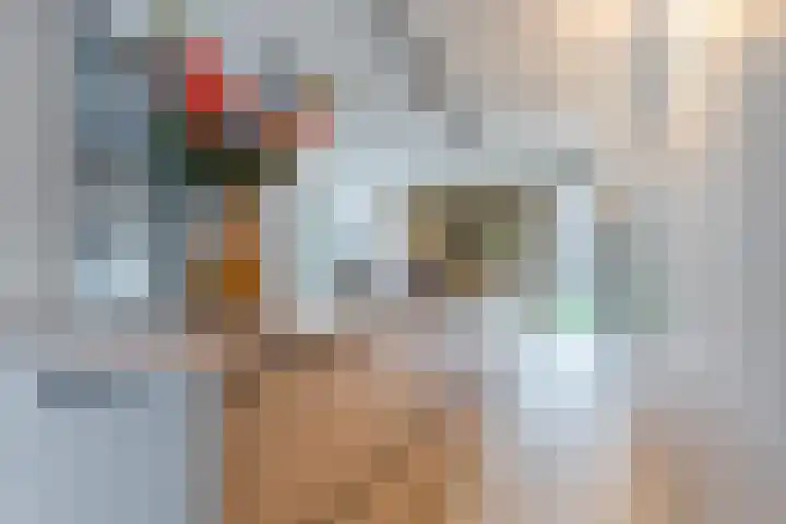Plattenkamp 39 Beilen thumbnail 37