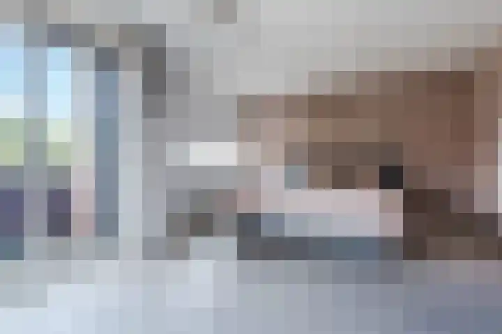 Plattenkamp 39 Beilen thumbnail 49
