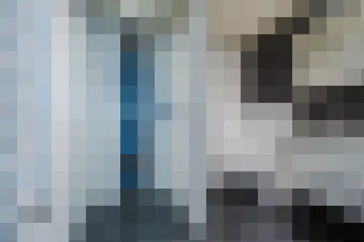 Plattenkamp 39 Beilen thumbnail 57