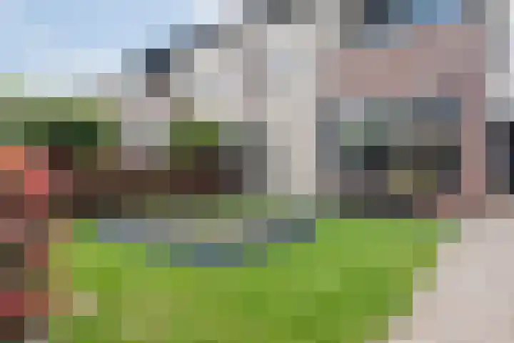 Plattenkamp 39 Beilen thumbnail 6