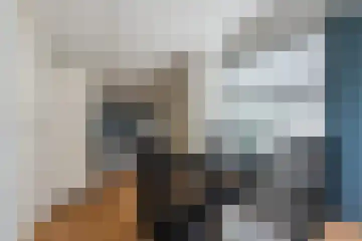 Plattenkamp 39 Beilen thumbnail 62