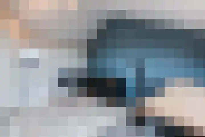 Plattenkamp 39 Beilen thumbnail 64