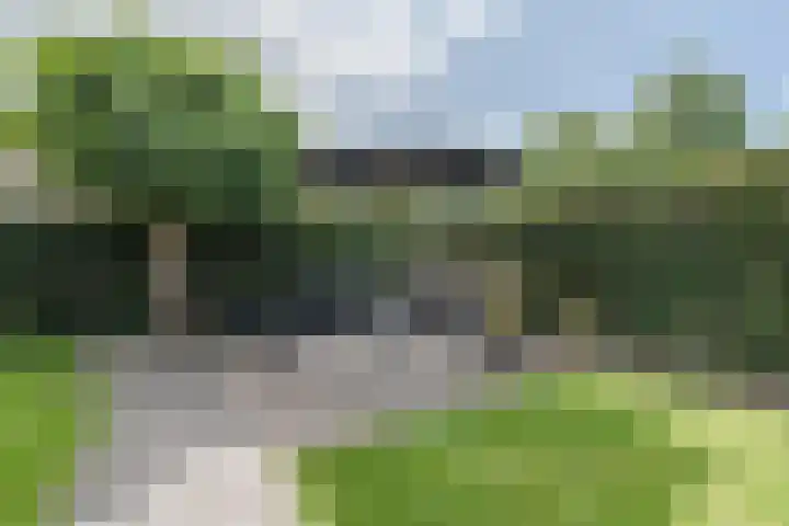 Plattenkamp 39 Beilen thumbnail 67