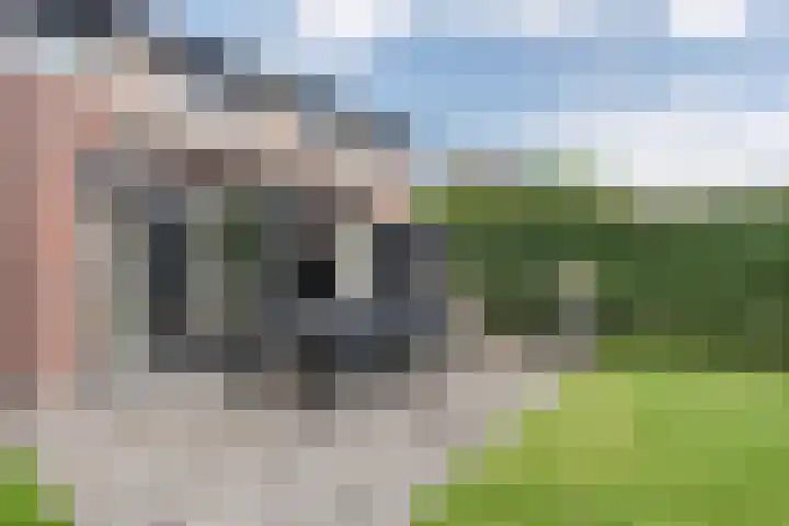Plattenkamp 39 Beilen thumbnail 70