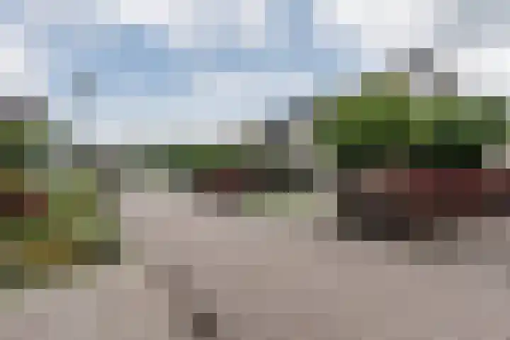 Plattenkamp 39 Beilen thumbnail 8