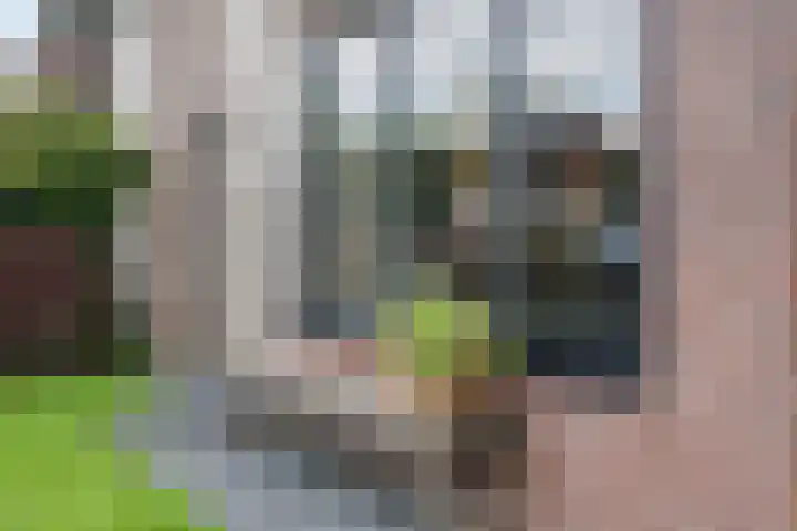 Plattenkamp 39 Beilen thumbnail 9