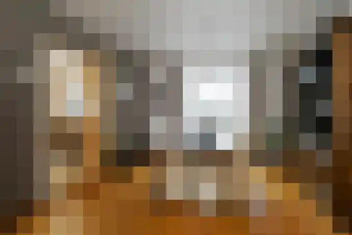 Plattepeeldijk 6 Ospel thumbnail 10
