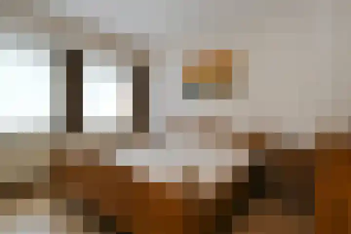 Plattepeeldijk 6 Ospel thumbnail 15