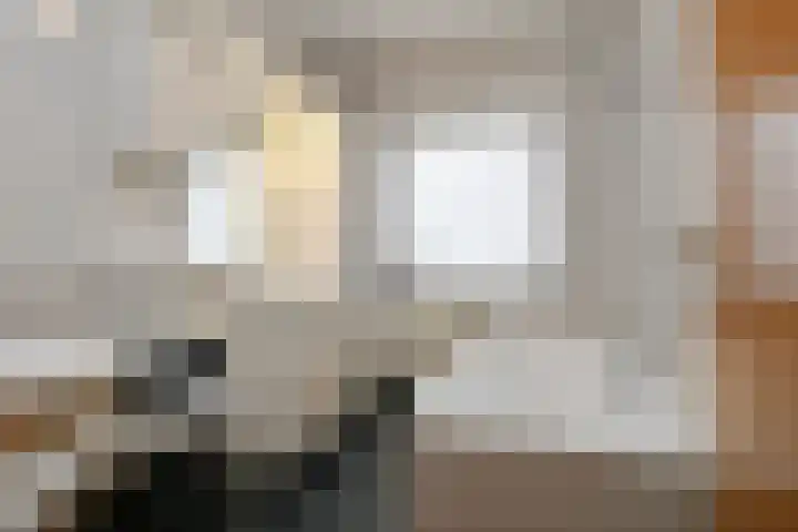 Plattepeeldijk 6 Ospel thumbnail 17