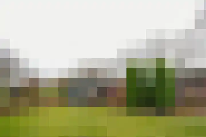 Plattepeeldijk 6 Ospel thumbnail 23