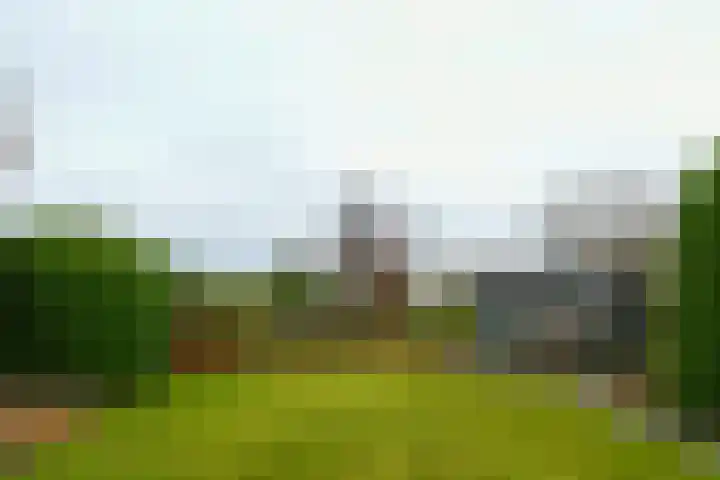 Plattepeeldijk 6 Ospel thumbnail 24